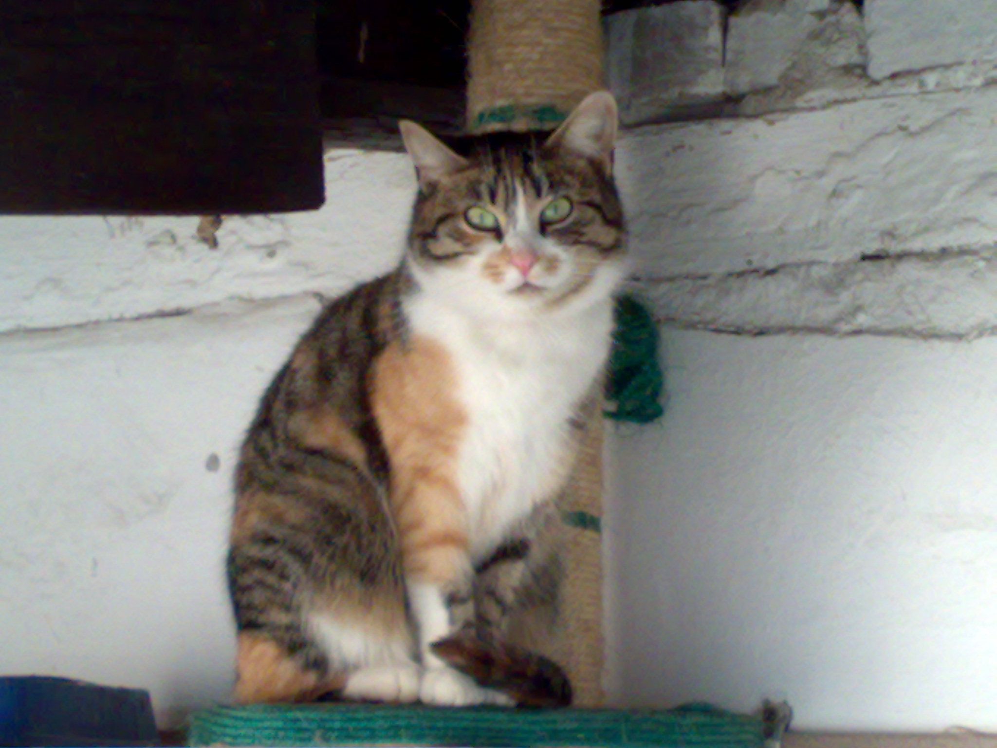 20091226195.jpg